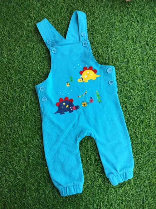Dino Friends Dungaree EBD003